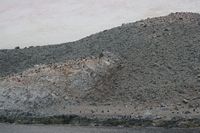 
DSC00102